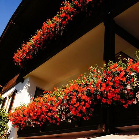 Pension Appartement Santl Anterselva di Sotto エクステリア 写真