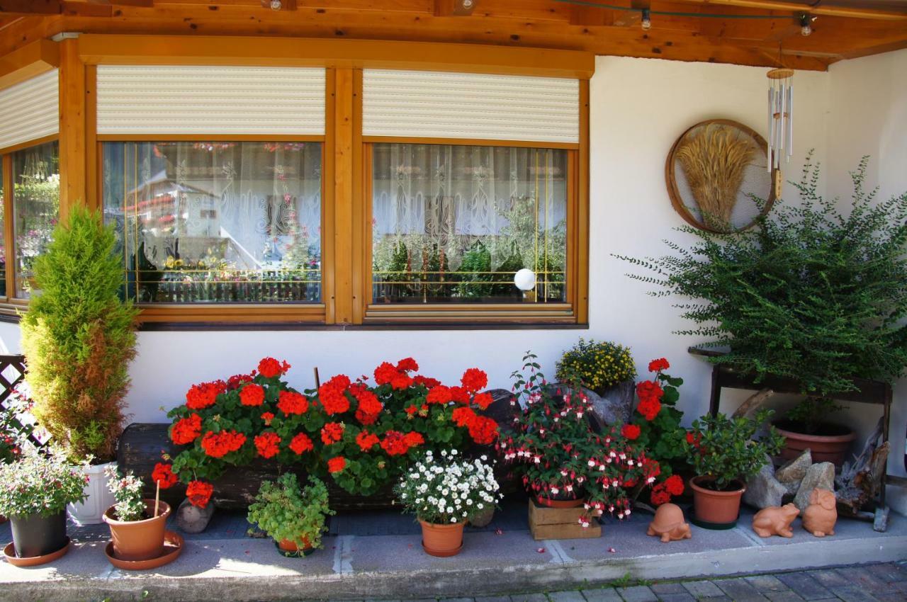 Pension Appartement Santl Anterselva di Sotto エクステリア 写真