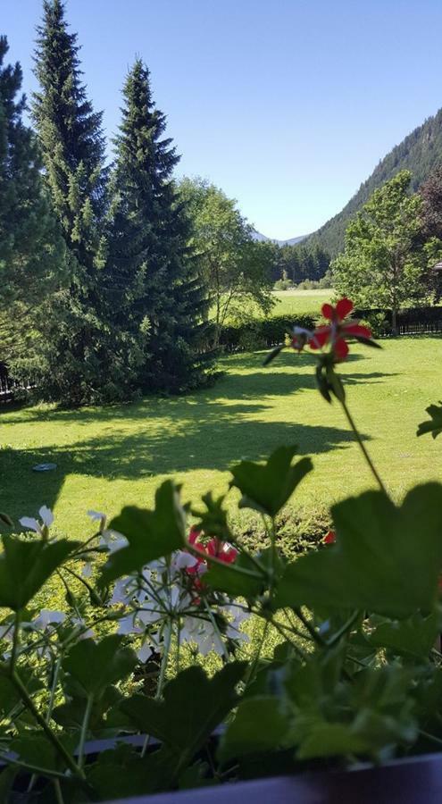 Pension Appartement Santl Anterselva di Sotto エクステリア 写真