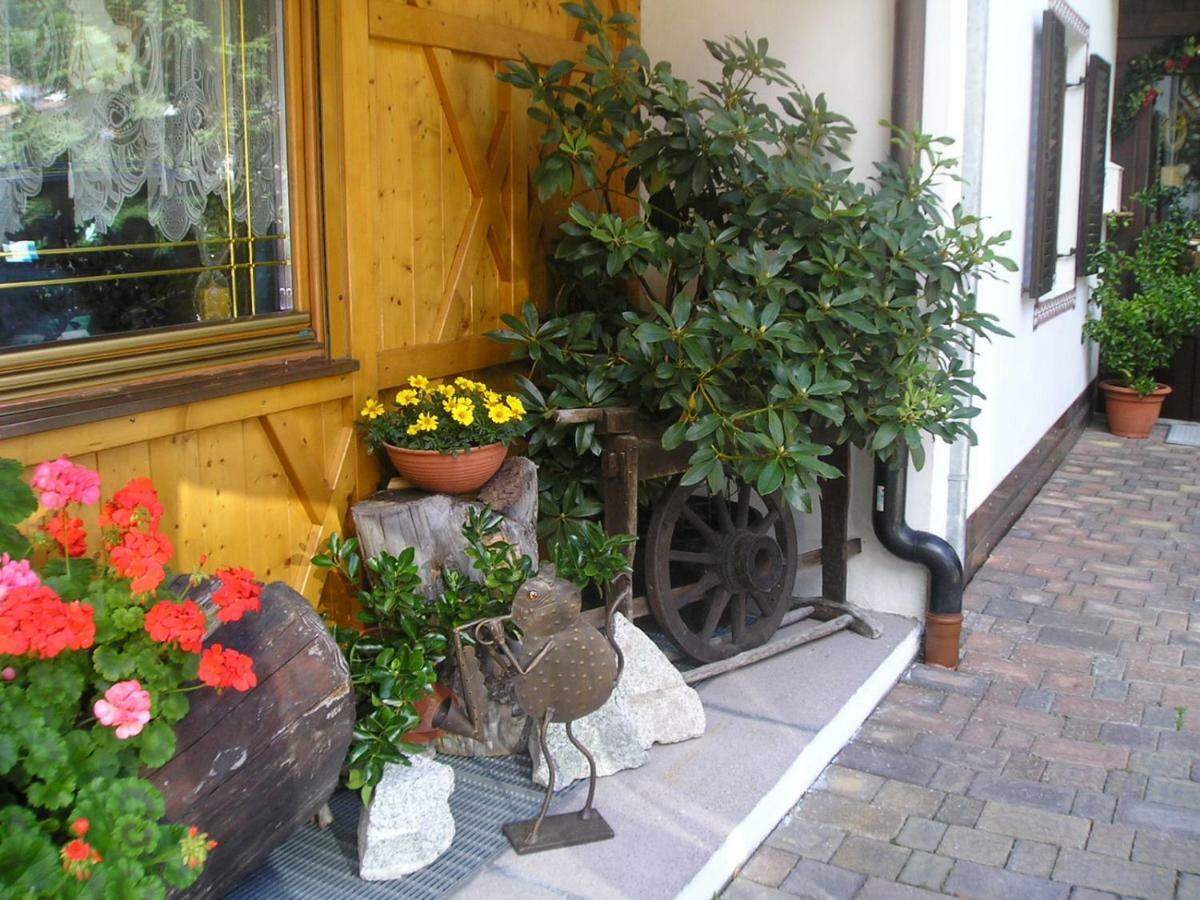 Pension Appartement Santl Anterselva di Sotto エクステリア 写真